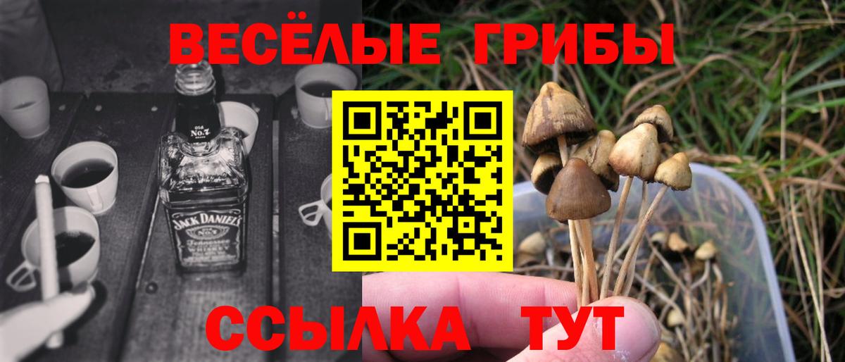 даркнет сайт  Вход с VPN  Нововоронеж  Галлюциногенные грибы ЛСД 