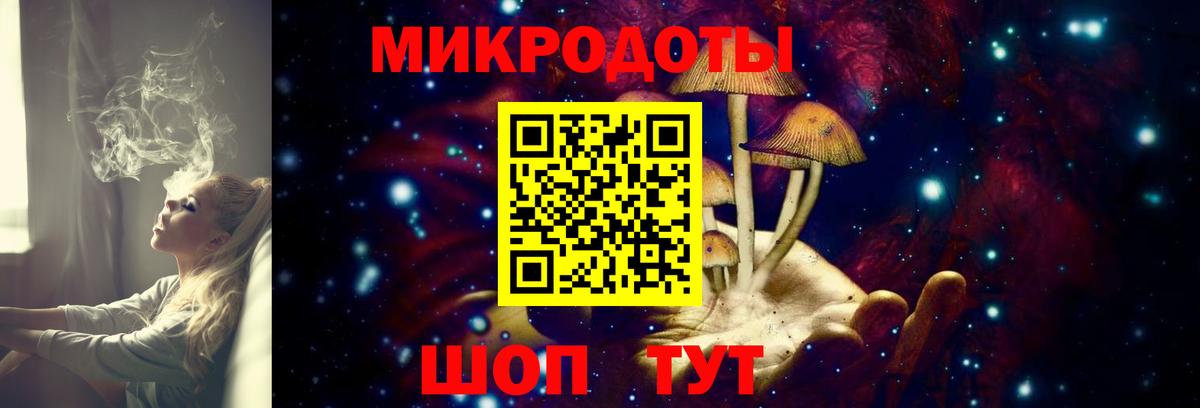 Галлюциногенные грибы Cubensis Нововоронеж