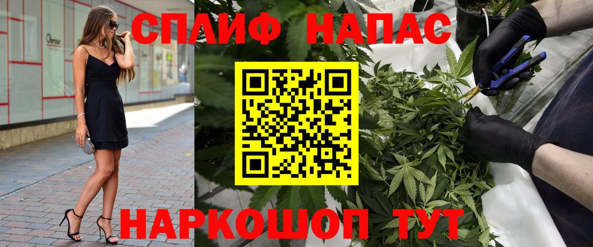 Конопля план  Вход с VPN  Шишки марихуана VHQ  Марихуана ГИДРОПОН  Нововоронеж 